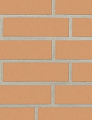 Кирпич клинкерный пустотелый, Sorrento, желто-оранжевый, гладкая 250x85x65