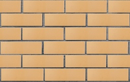 Кирпич лицевой пустотелый Пшеничный Гладкий 250x120x65, ЛСР (МСК)