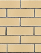 Кирпич лицевой пустотелый Бежевый Гладкий 250x120x65, ЛСР