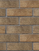 Кирпич лицевой пустотелый Красный флэш с пепельной посыпкой ультра Рустик 250x120x65, ЛСР