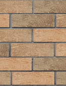 Кирпич лицевой пустотелый Красный флэш с пепельной посыпкой Рустик 250x120x65, ЛСР