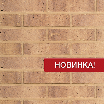 Новинки от компании Wienerberger