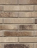 Клинкерная фасадная плитка vascu argo antrablanca 290х52х14